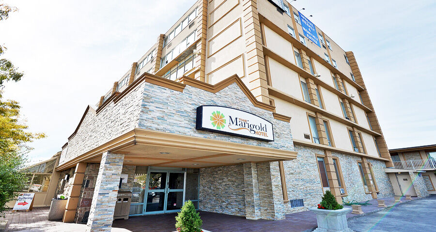 The Marigold Hotel ブランプトン エクステリア 写真